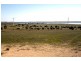 9 Mabie Road, Streaky Bay SA 5680