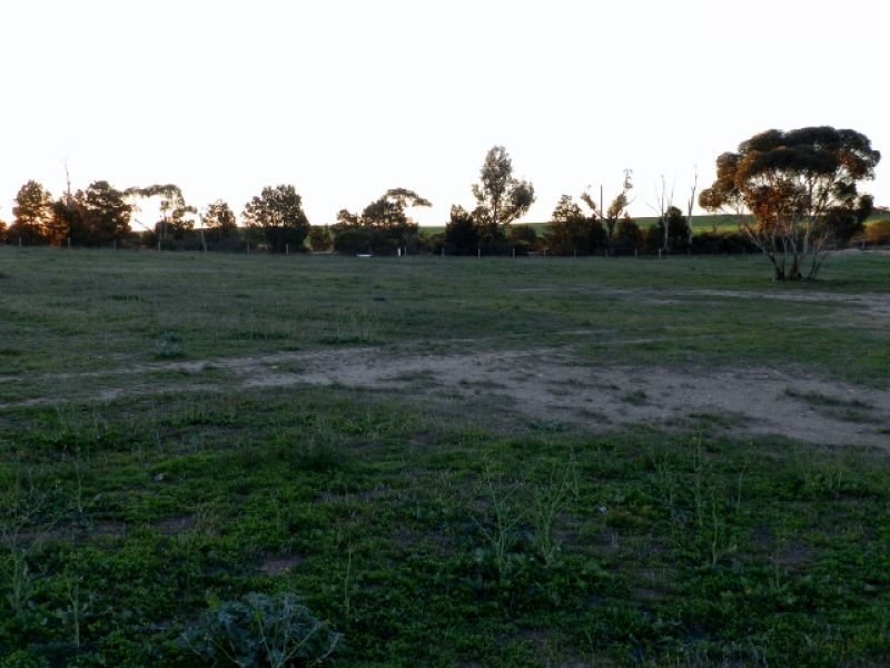 Sec 37 and 38 Emerald Rise Road, Poochera SA 5655
