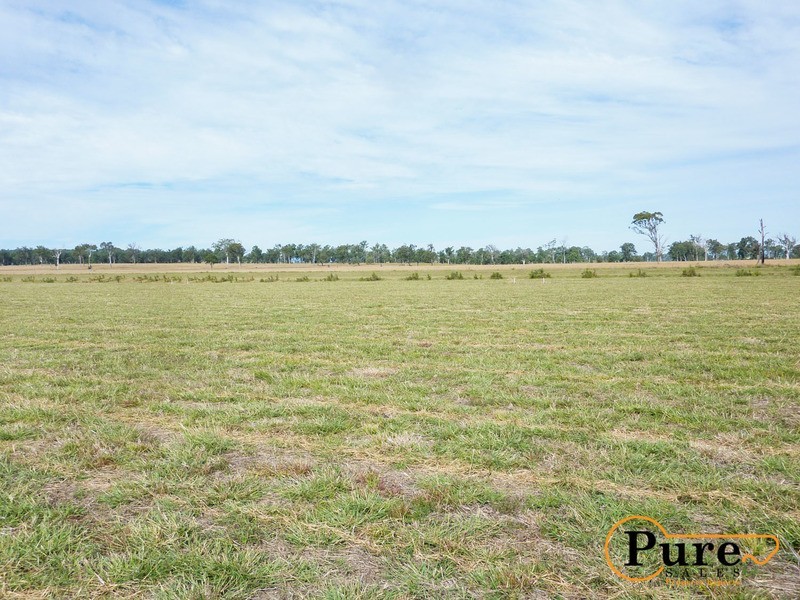 Jimboomba QLD 4280