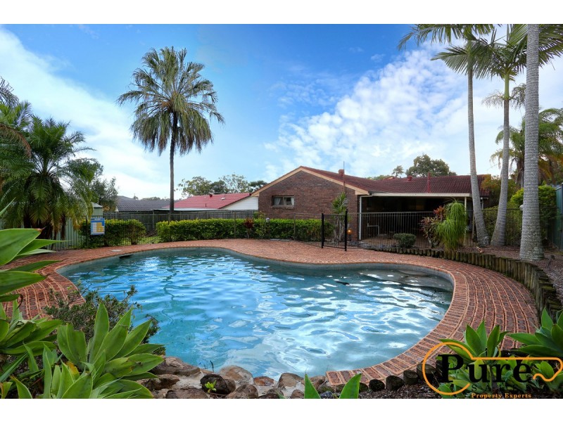 11 Hibbertia Court, Springwood QLD 4127