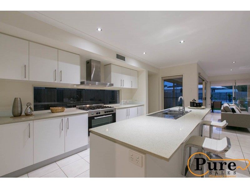 17A Brenda Street, Morningside QLD 4170