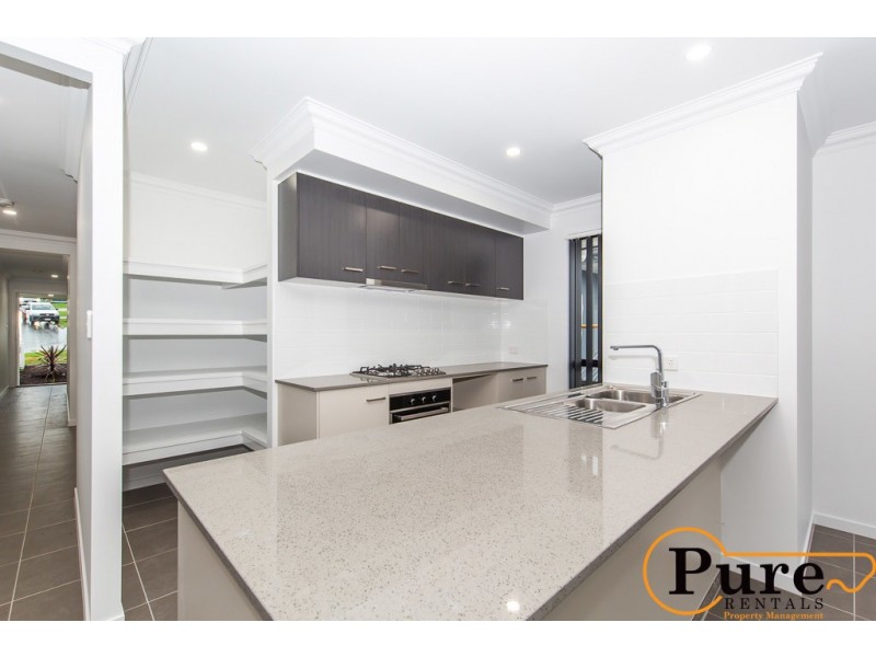 48 Stormbird Street, Redbank Plains QLD 4301