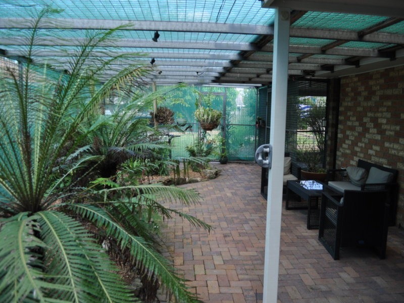 29 Warrigal Road, Runcorn QLD 4113