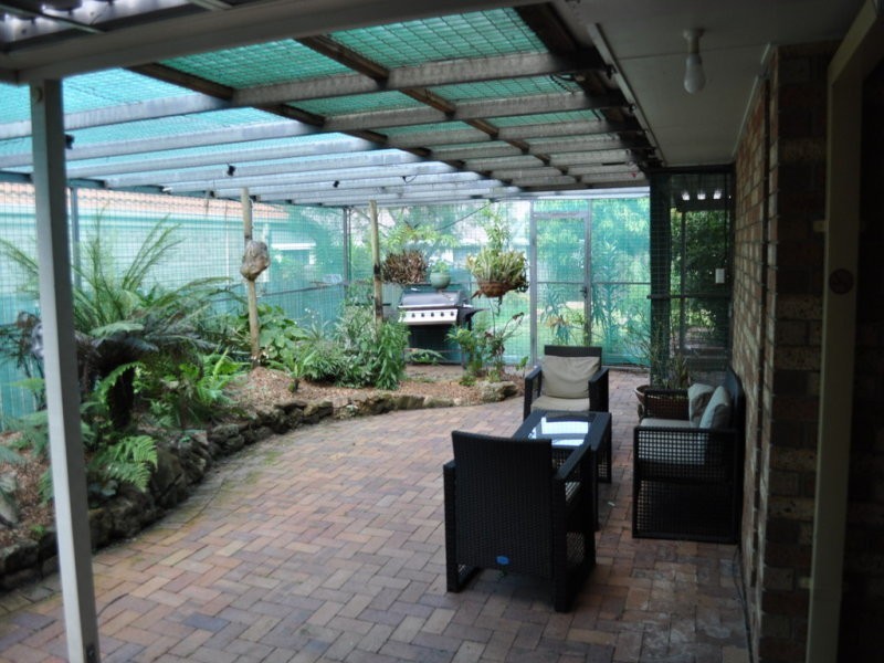 29 Warrigal Road, Runcorn QLD 4113