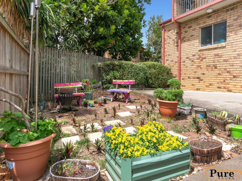 12/31 Collins Street, Clayfield QLD 4011