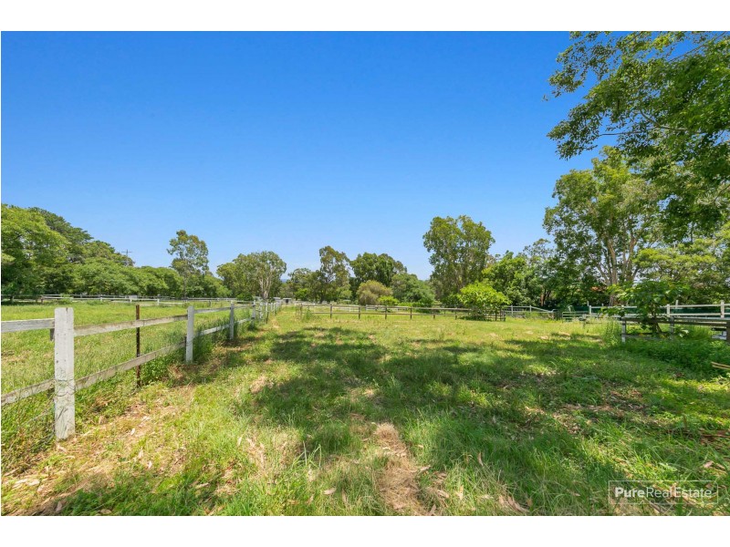 1031 Beams Road, Bridgeman Downs QLD 4035