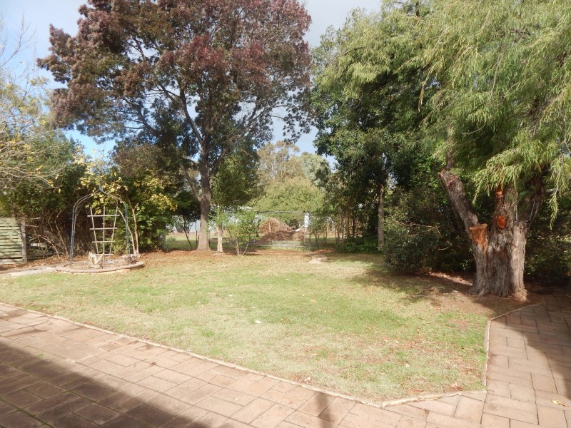 10 Peacock Avenue, Gawler East SA 5118