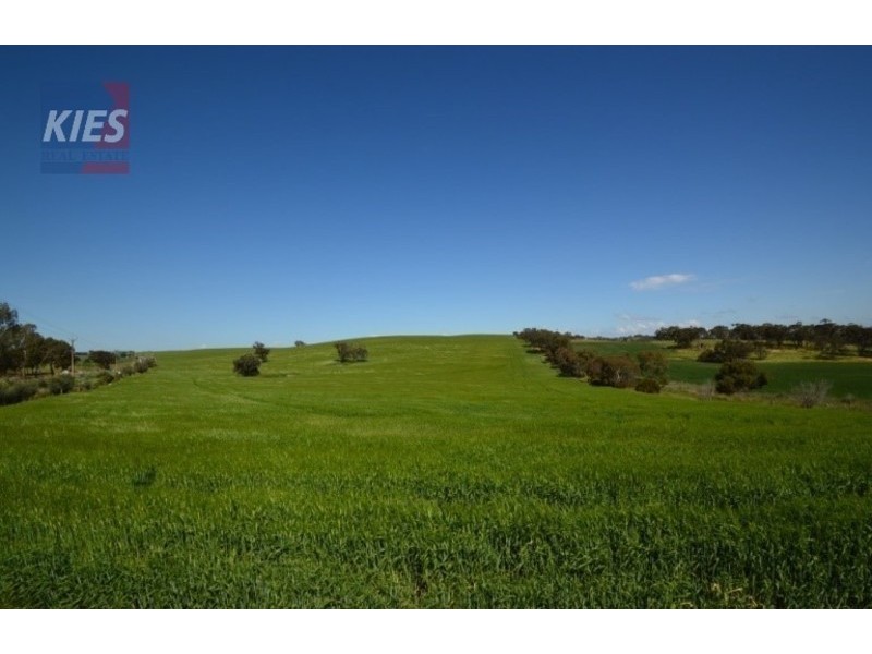 Cockatoo Valley SA 5351