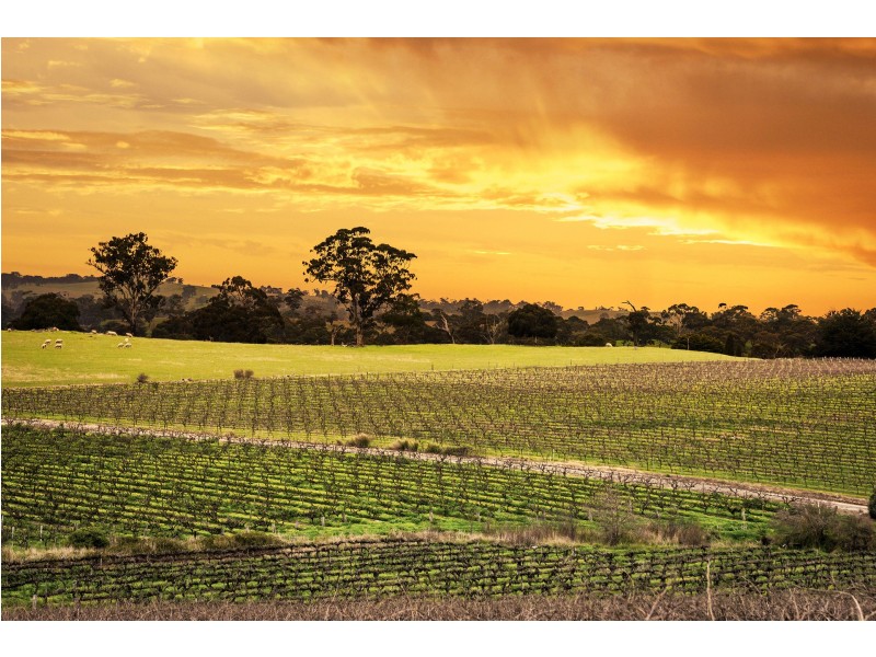 Angaston SA 5353