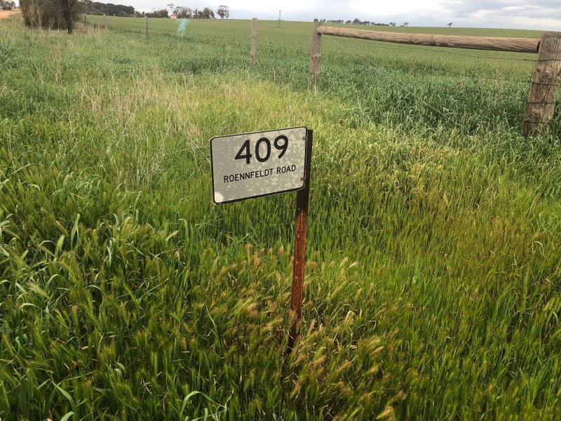 Wasleys SA 5400