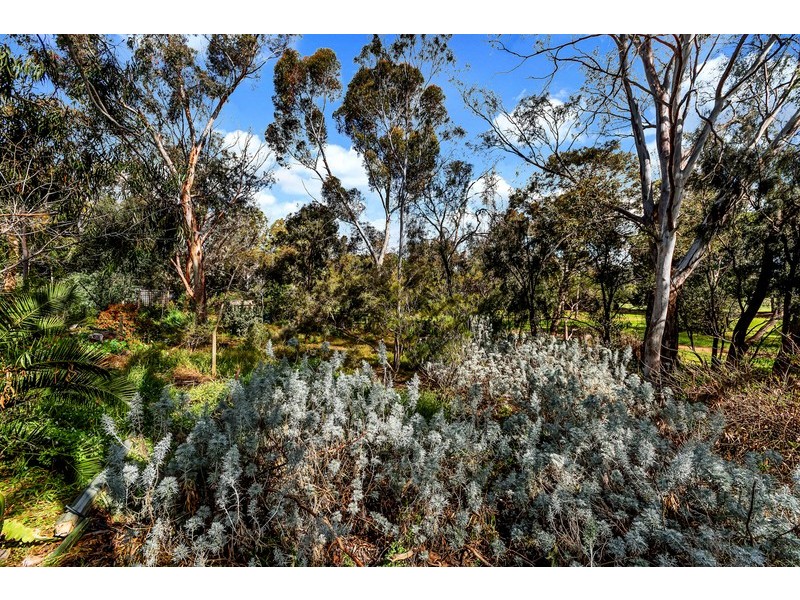 Elizabeth Vale SA 5112