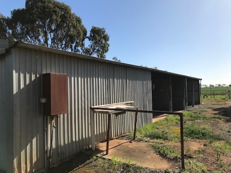 2601 Redbanks road, Mallala SA 5502