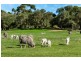 Angaston SA 5353
