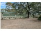 Angaston SA 5353