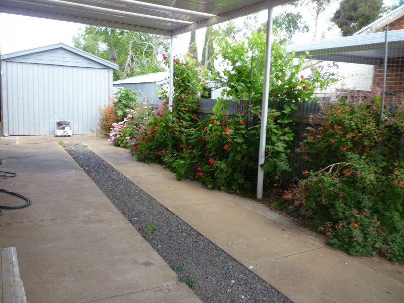 13 Rice Avenue, Gawler South SA 5118