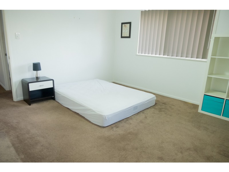 43 Meckiff Street, Upper Mount Gravatt QLD 4122