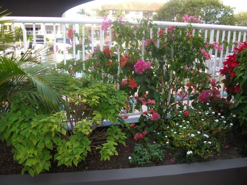 75 Bayview Street, Runaway Bay QLD 4216