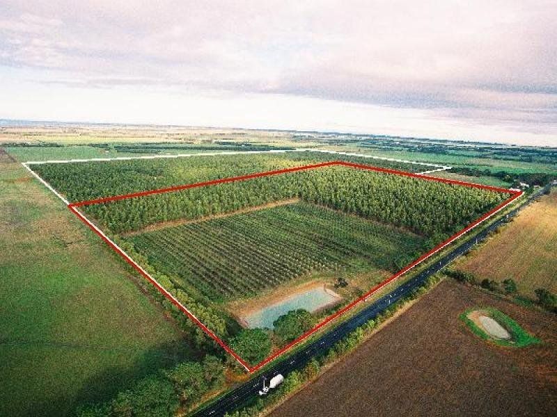 662 Murradoc Road, St Leonards VIC 3223