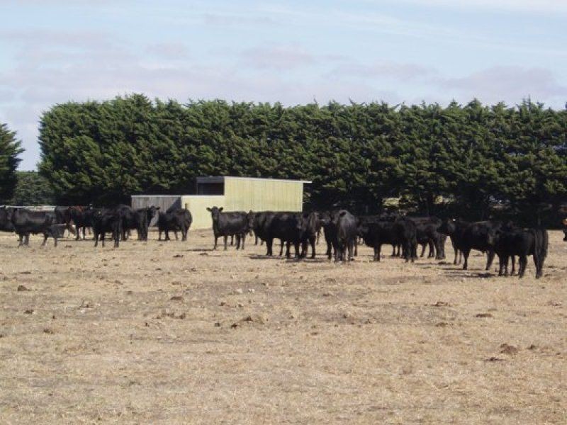 225 Considines Road, Modewarre VIC 3240