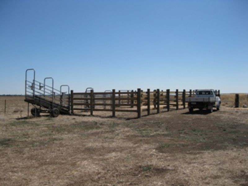 1406 Lismore-Pitfield Road, Wallinduc VIC 3351