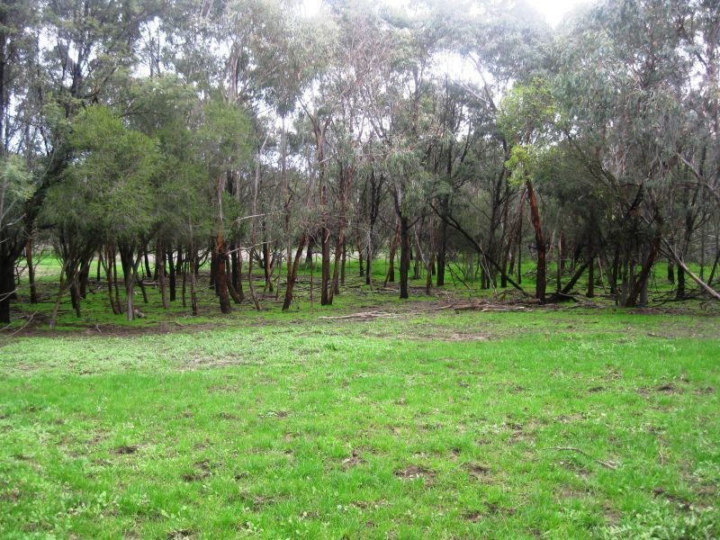 975 Mount Duneed Road, Freshwater Creek VIC 3216