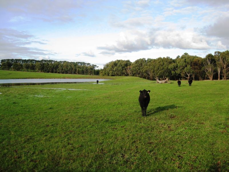 975 Mount Duneed Road, Freshwater Creek VIC 3216