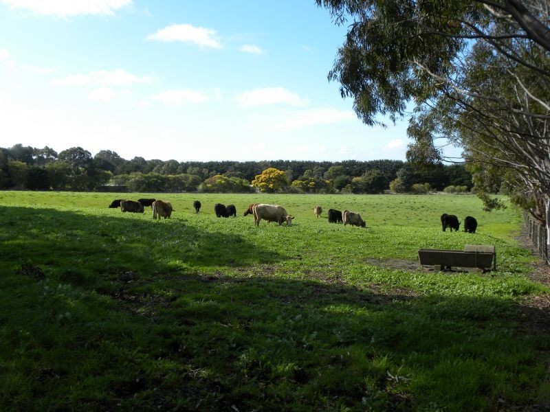 620 Hendy Main Road, Moriac VIC 3240