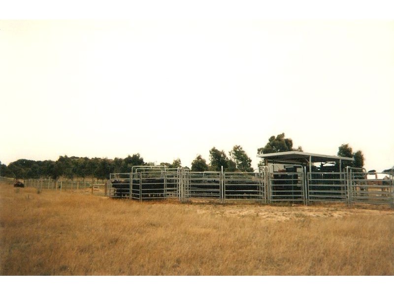 620 Hendy Main Road, Moriac VIC 3240