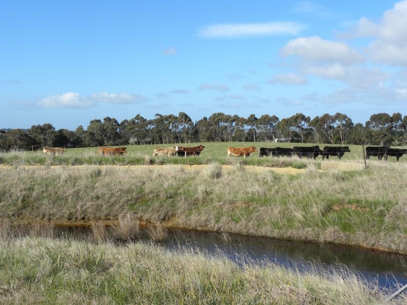 620 Hendy Main Road, Moriac VIC 3240