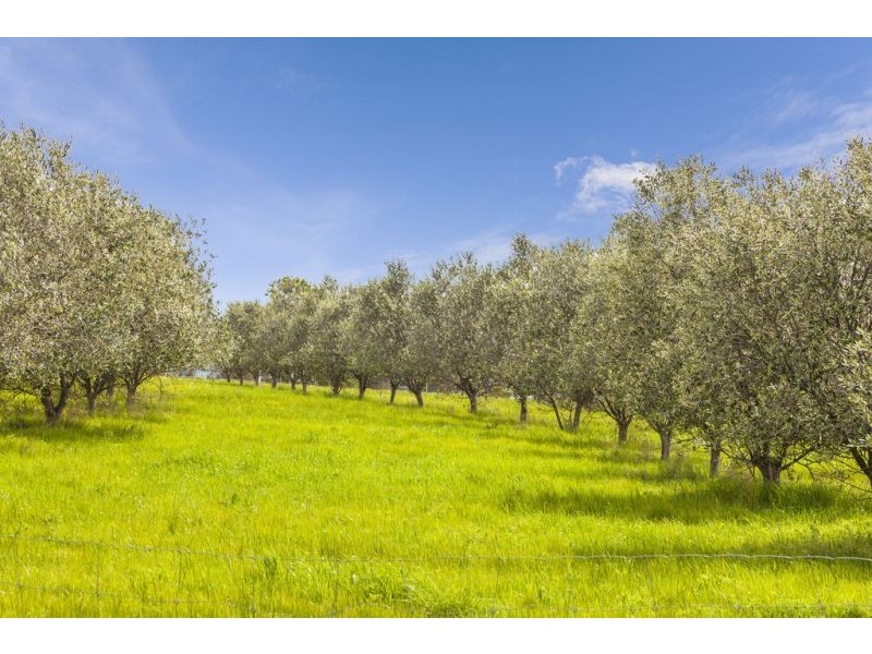 80 Dwyers Road, Gnarwarre VIC 3221