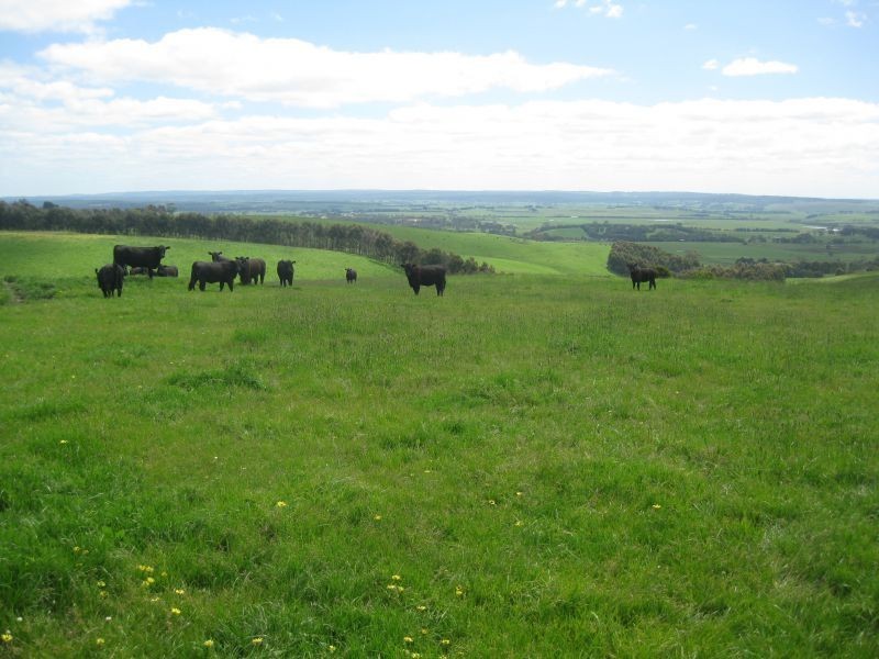 210 Wickhams Road, Murroon VIC 3243