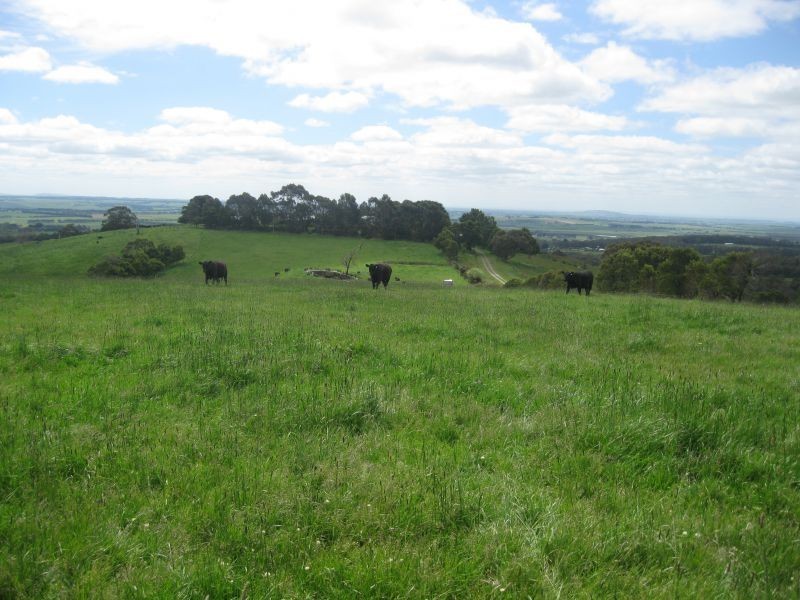 210 Wickhams Road, Murroon VIC 3243