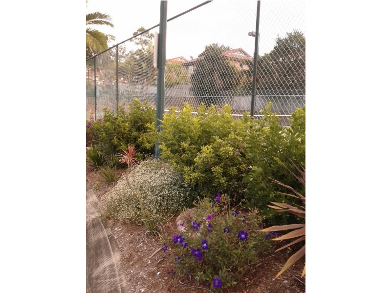 42/17 Marlow  Street, Woodridge QLD 4114