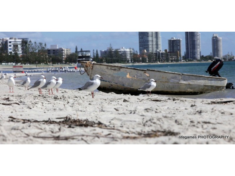 17 Bath, Labrador QLD 4215