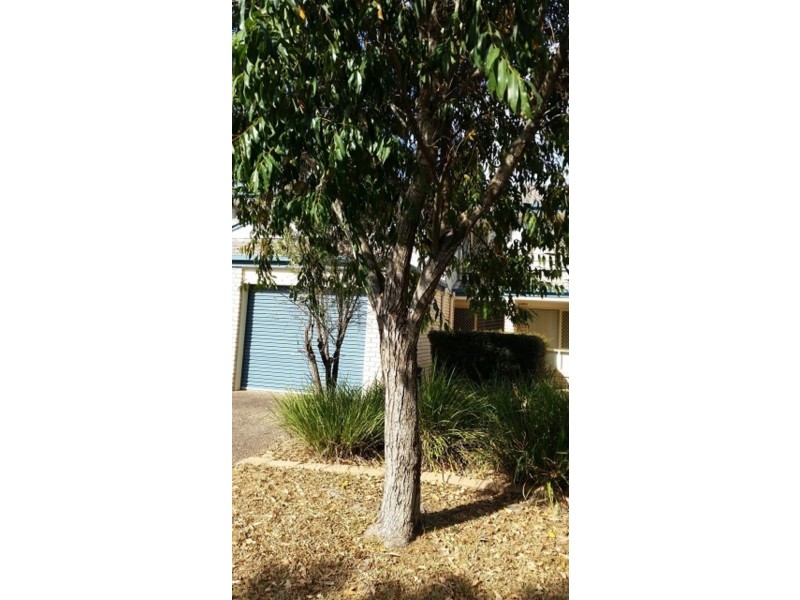 28/1 Highridge Road, Springfield QLD 4300