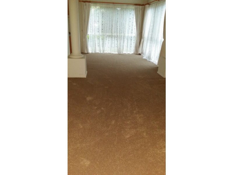 12 Coneybeer Place, Eight Mile Plains QLD 4113