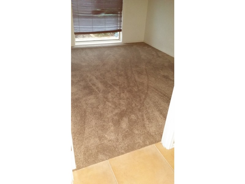 12 Coneybeer Place, Eight Mile Plains QLD 4113