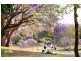 81 Armadale, St Lucia QLD 4067