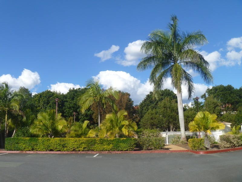 40  Arcadia Street, Eight Mile Plains QLD 4113