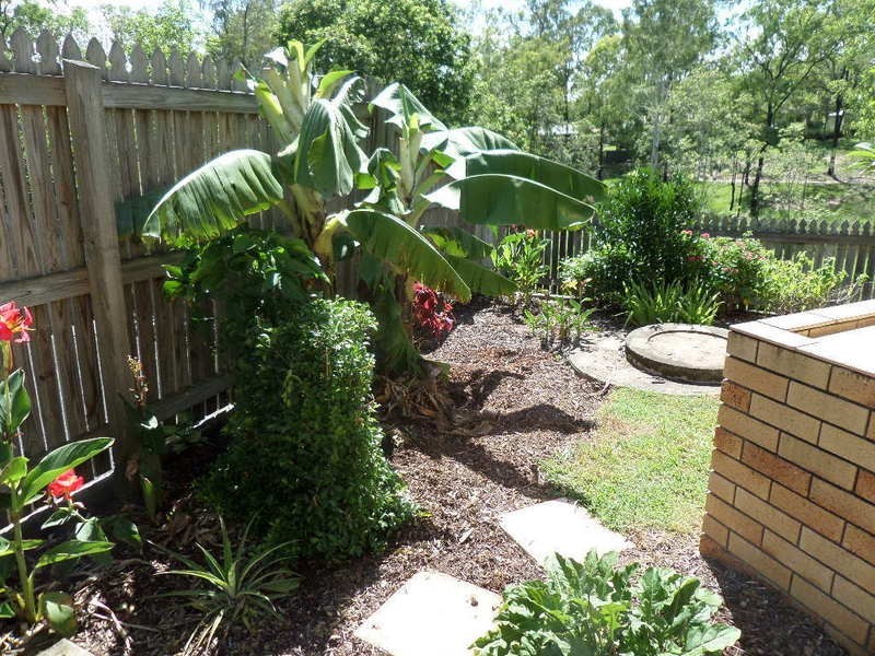 13 Bailey Street, Collingwood Park QLD 4301