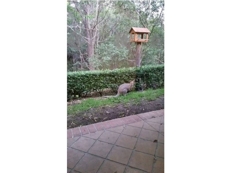 Tallai QLD 4213