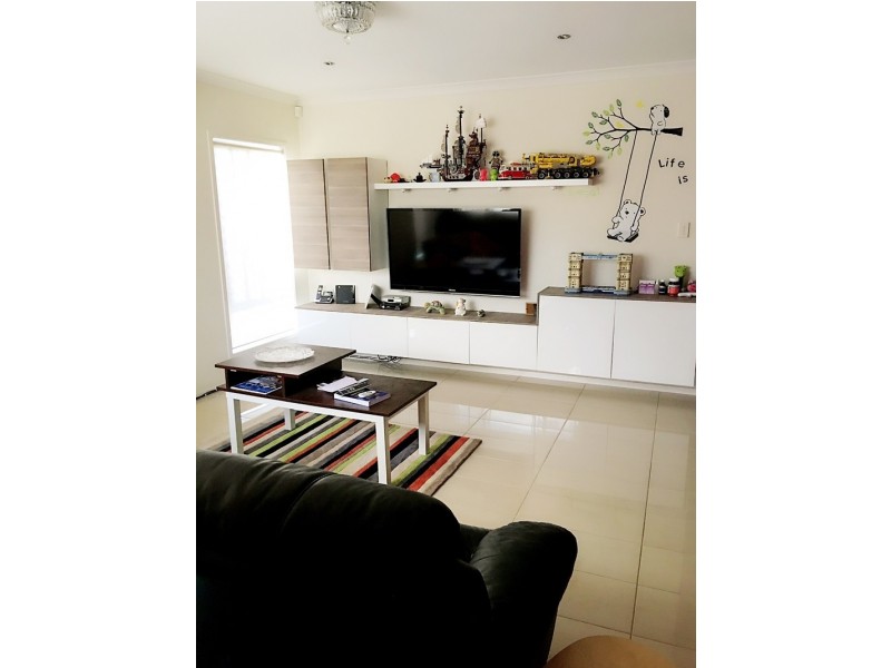 43 candytuft place, Calamvale QLD 4116