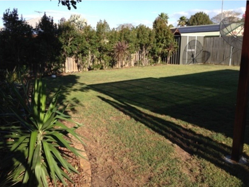 43 candytuft place, Calamvale QLD 4116