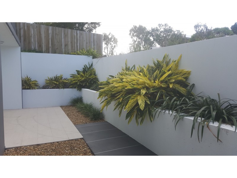 1/127 Grosvenor, Morningside QLD 4170