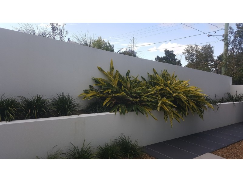 1/127 Grosvenor, Morningside QLD 4170