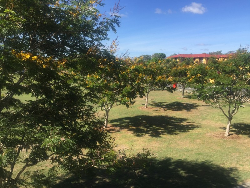 17 BATH, Labrador QLD 4215