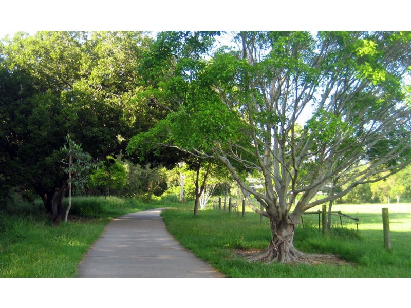 25 Colton Avenue, Lutwyche QLD 4030