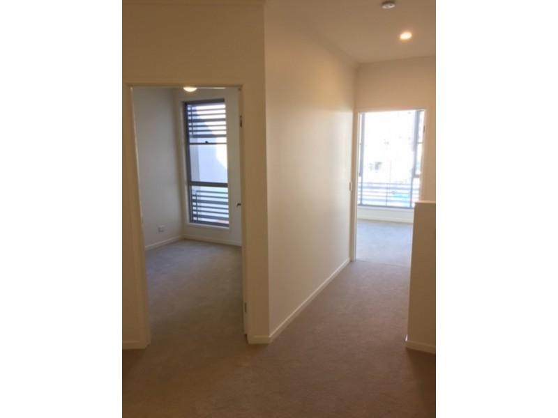 47 Manhattan Ave, Robina QLD 4226