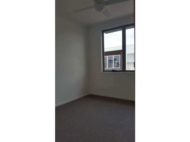 49 Evergreen, Robina QLD 4226