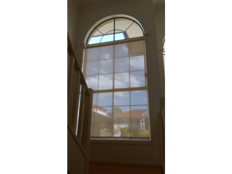 6 Evergreen place , Mount Gravatt East, Mount Gravatt East QLD 4122